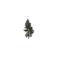 Natural Style Ornament Decoration Set With Pine Tree Design Green Leaves And Wooden Base