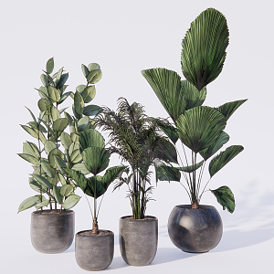 Modern potted plant green plant potted plant ornaments 3d model