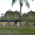 Scenic Commercial Street With Pedestrians Benches Palm Trees And Lush Greenery