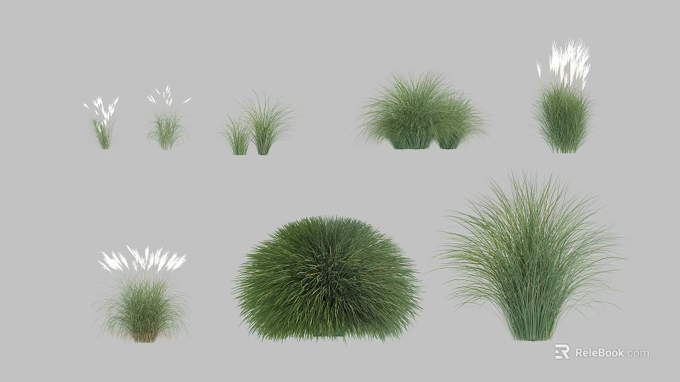 Various Types of Green Decorative Shrubs With Different Shapes and Foliage 3d model 