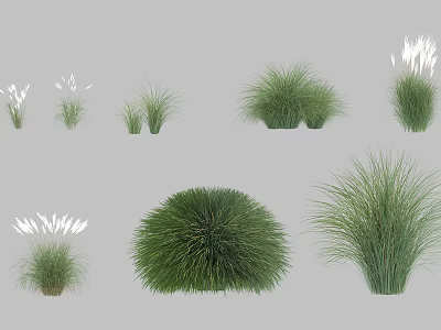Various Types of Green Decorative Shrubs With Different Shapes and Foliage 3d model
