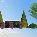 Green Conical Rectangular And Round Bushes With Purple Flowers In Garden Landscape