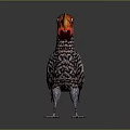 Colorful Bird With Large Orange Beak Red Head And Spotted Body Feathers Standing Isolated