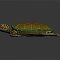 Realistic Colorful Sea Turtle With Vibrant Orange Green Shell And Spotted Flippers