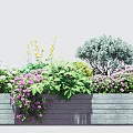 Colorful Flowers And Plants In Gray Wooden Flower Box With Yellow Purple Blooms Green Shrubs
