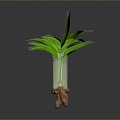 Ginger ginger seasoning ingredients vegetables plant life supplies 3d model