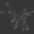 Crop Plant with Yellow Flowers and Green Stems Leaves and Height Measurement Scale in Centimeters