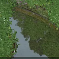 Garden Landscape Featuring Lush Green Plants Small Stream And Tree Reflections