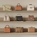 Stylish Leather Handbags And Backpacks In Various Colors On Wooden Shelf