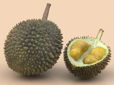 Ripe Durian Fruit Whole and Cut Open Showing Creamy Yellow Flesh 3d model