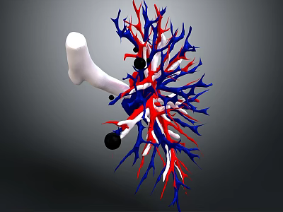 3D Rendering of Organ Structure with Hair Like Red Blue Blood Vessels and White Bone 3d model