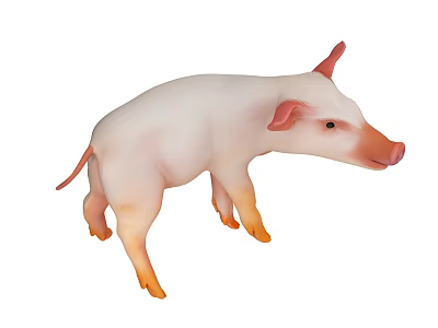 Adorable White Piglet With Pink Ears And Orange Hooves Standing Isolated On White Background 3d model