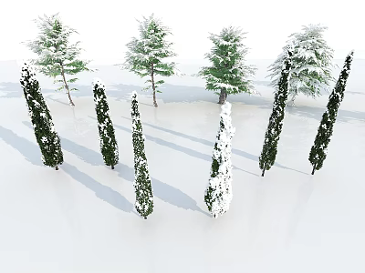 Snow Covered and Non Snow Covered Arbor Trees Display Various Shapes on White Background 3d model
