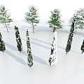 Snow Covered and Non Snow Covered Arbor Trees Display Various Shapes on White Background