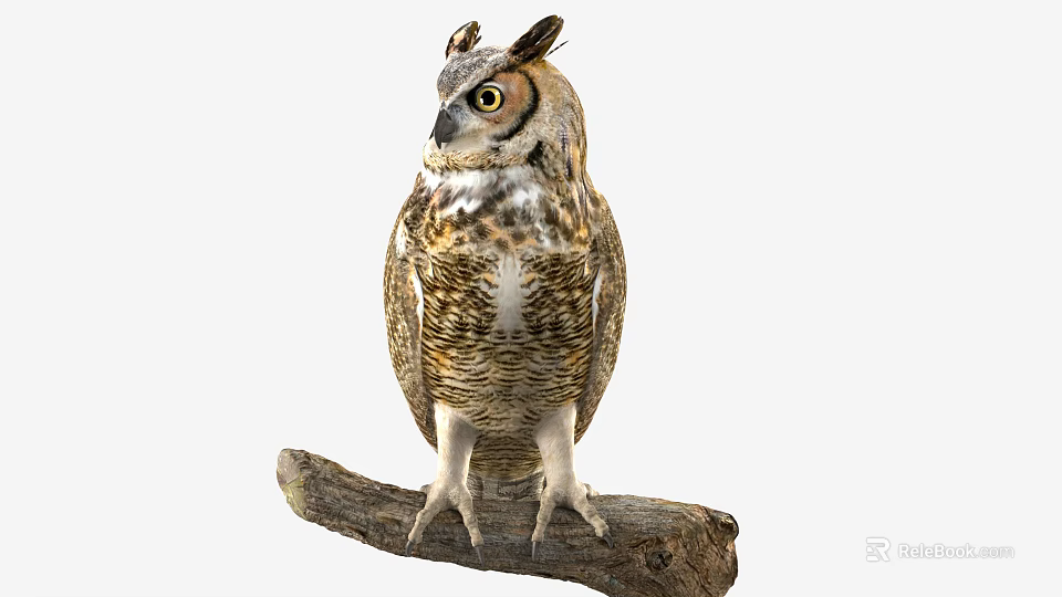 Great Horned Owl Perched On Wooden Branch With Detailed Feathers And Yellow Eyes 3d model 