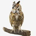 Great Horned Owl Perched On Wooden Branch With Detailed Feathers And Yellow Eyes