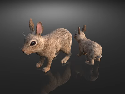 Two Brown Reptile Lizards With Different Sizes On Black Background And Reflections 3d model