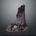 Natural Tree Stump Decorative Piece With Rough Surface Dark Purple And Light Tones
