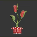 Potted Plant with Three Red Flowers Green Stems in Red White Dotted Pot on Black