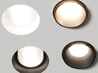 Modern Round Downlights And Spotlights With White And Dark Circular Design For Home Lighting 3d model