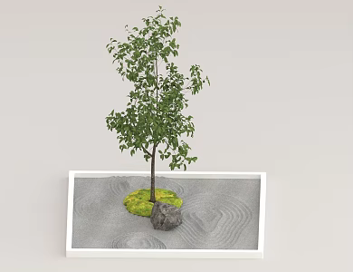 Chinese potted trees 3d model