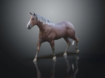 Brown Horse With White Mane Standing On Dark Background And Reflective Ground 3d model