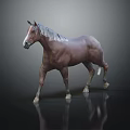 Brown Horse With White Mane Standing On Dark Background And Reflective Ground