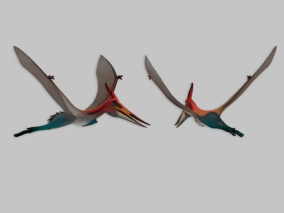 Two Reptile Pterosaur Models Spreading Wings Flying With Red Blue Green Colors On Grey Background 3d model