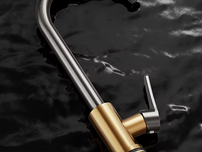 Sleek Modern Faucet With Gold And Silver Finish Curved Design For Kitchen Or Bathroom 3d model