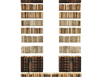 Vintage Books Arranged in Rows on Wooden Shelves for Home Library 3d model