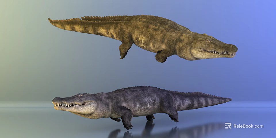 Two Realistic Aquatic Reptiles With Brown And Gray Skin Sharp Teeth And Detailed Texture 3d model 