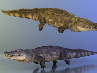 Two Realistic Aquatic Reptiles With Brown And Gray Skin Sharp Teeth And Detailed Texture 3d model