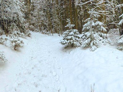 Modern Snow Landscape Snow Vein Terrain Mountain model