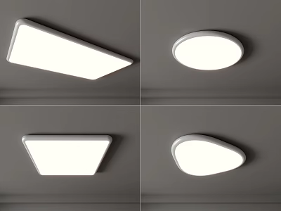 Modern Ceiling Lights With Various Shapes For Indoor Home Lighting Decor 3d model