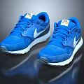 Blue Nike Sports Sneakers With White Sole And Blue Laces
