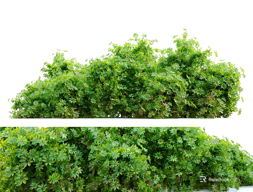 Lush Green Shrubs with Dense Foliage in Outdoor Garden Landscape 3d model 