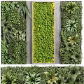 Vertical Living Plant Wall With Central Concrete Pathway And Diverse Green Foliage