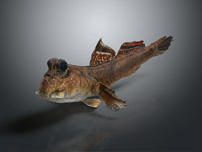 Unique Fish With Large Eyes Brown Yellow Body And Distinct Fins On Gray Background 3d model