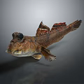 Unique Fish With Large Eyes Brown Yellow Body And Distinct Fins On Gray Background