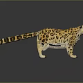 Snow Leopard Realistic Model With Spotted Yellow Fur Long Tail Standing On Shiny Surface Reflection 3d model