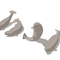 Four White Beluga Whales In Different Poses On Blue Background 3d model