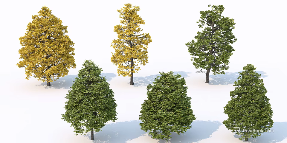 Various Green and Yellow Deciduous Trees with Lush Foliage in Natural Arrangement 3d model 