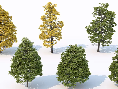 Various Green and Yellow Deciduous Trees with Lush Foliage in Natural Arrangement 3d model