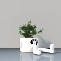 Bonsai Plant In White Decorative Pot With Cartoon Figure Design For Indoor Decor