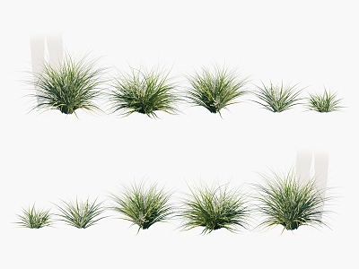 Modern Grass 3d model