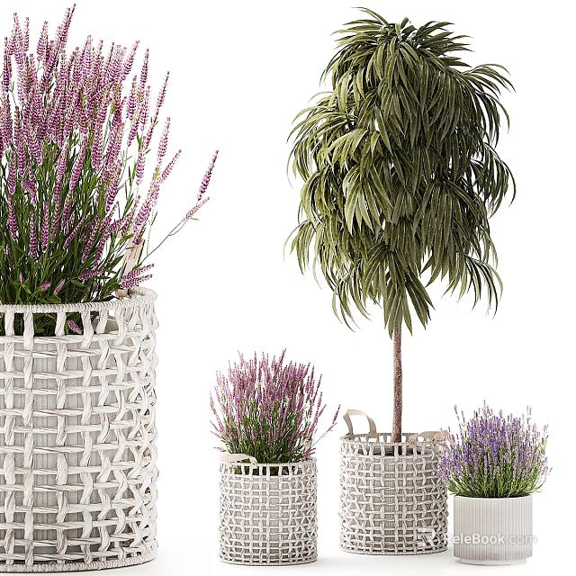 Potted Plants Featuring Purple Lavender and Green Leaves in White Woven Pots of Various Sizes 3d model 
