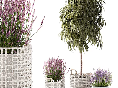 Potted Plants Featuring Purple Lavender and Green Leaves in White Woven Pots of Various Sizes 3d model