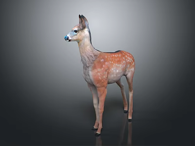 3D Model of a Spotted Deer With Brown and White Fur in Standing Posture 3d model