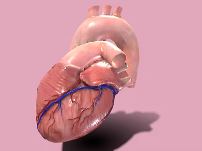 The Modern Heart 3d model