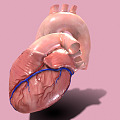 The Modern Heart 3d model